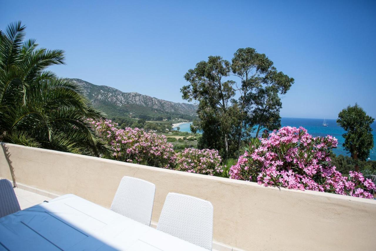 Appartement Terrasse La Citadelle Appartements Saint Florent Saint-Florent (Corsica) Exterior foto